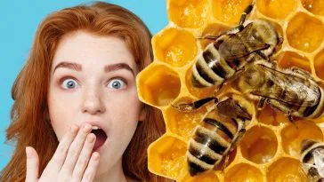 10 Amazing Facts About Honeybees That Will Blow Your Mind