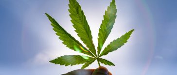 10 Reasons Why Marijuana Shouldnt Be Legal
