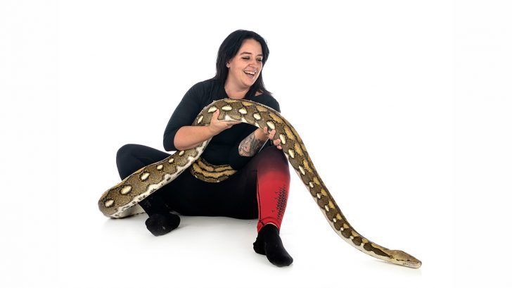 32 Exotic Animals You Could Legally Own - Reticulated Pythons