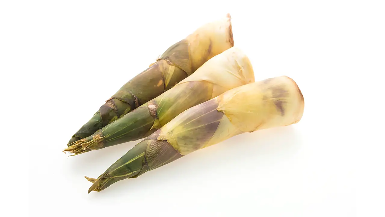 Bamboo Shoots in a white background