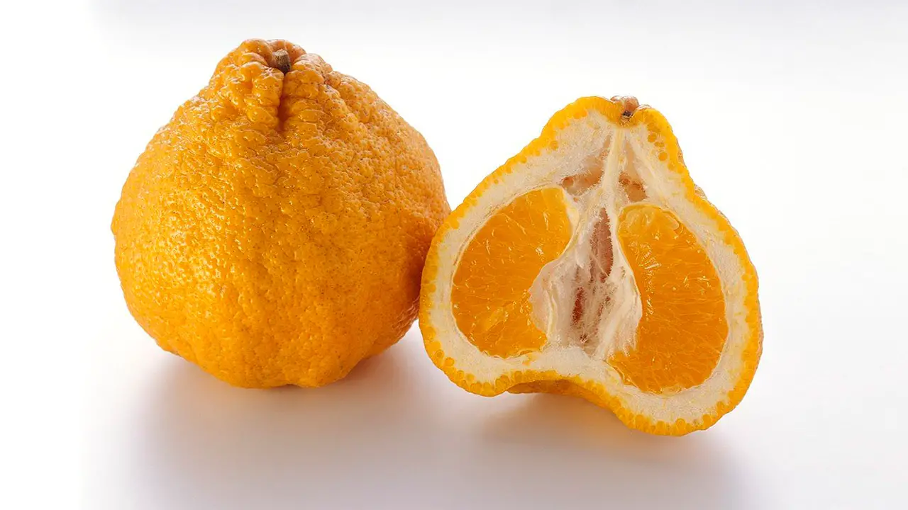 Ugli Fruit in two halves