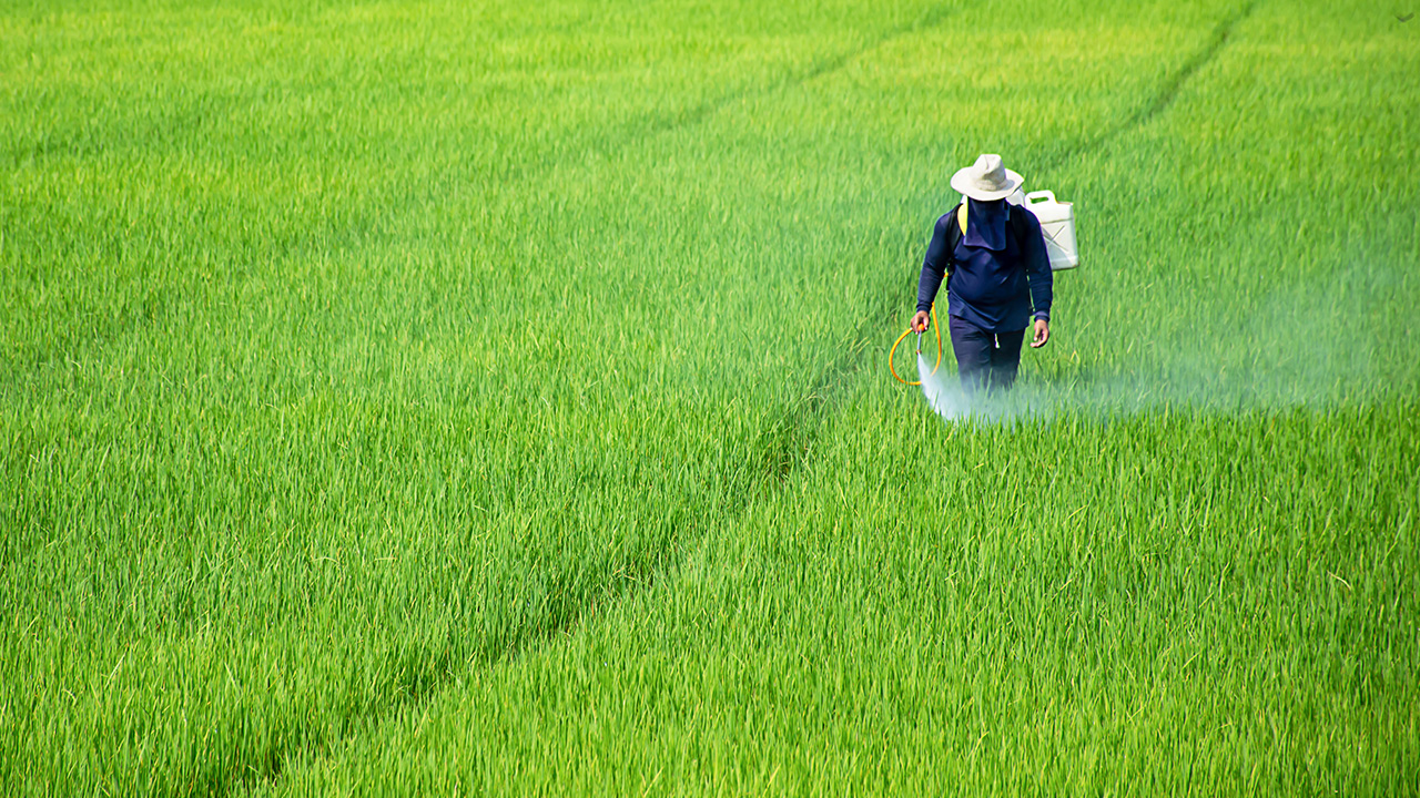 A farmer spraying crops in a green field