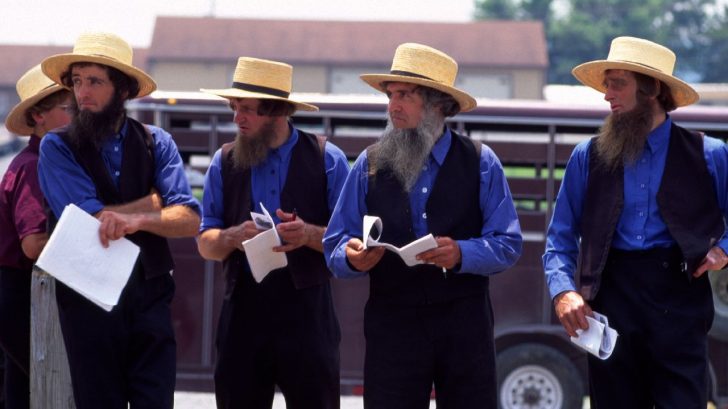 10 Intriguing Amish Facts Everyone Should Know About • Pop Listicle