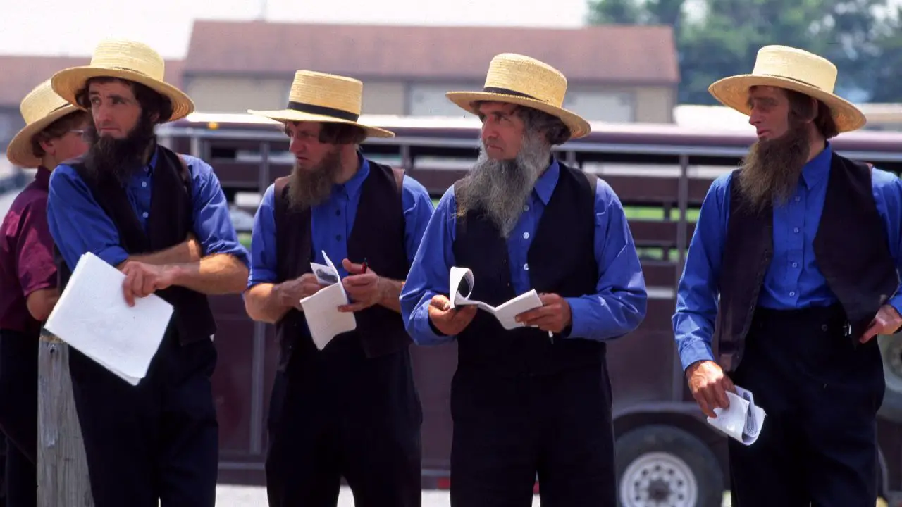 A group of Amish men and their long beards