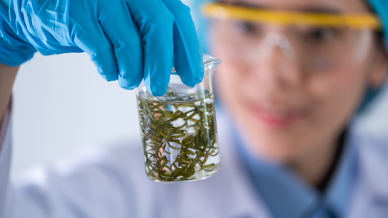 Biofuel research process in laboratory