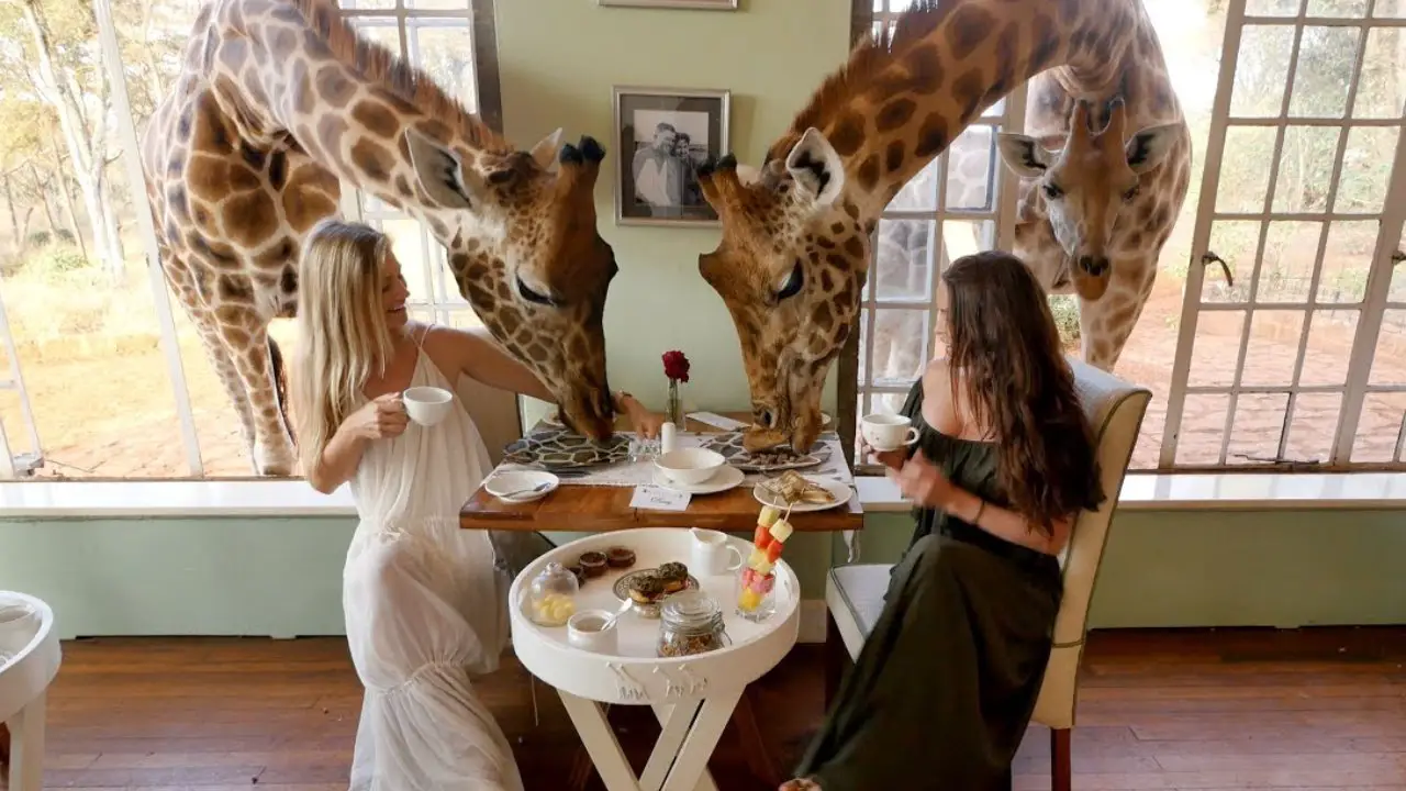 Giraffe Manor Kenya