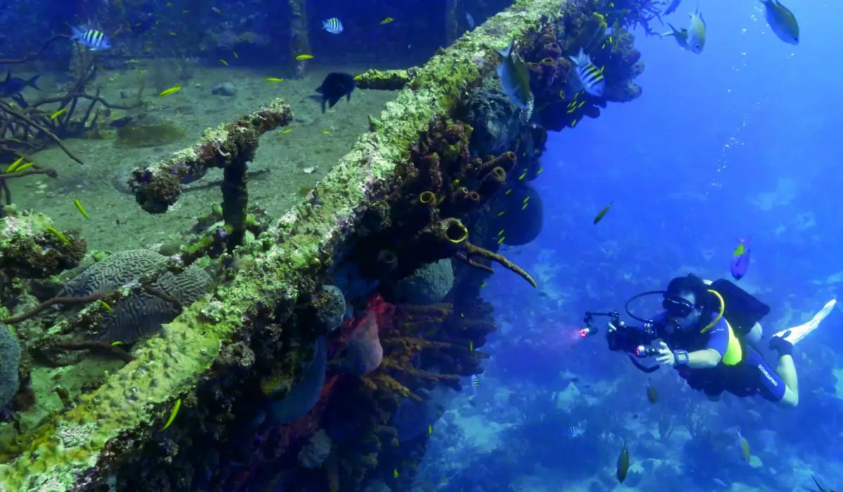 Go Wreck Diving in Aruba