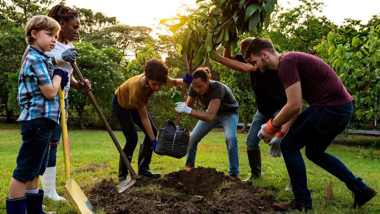 Group of people plant a tree together outdoors