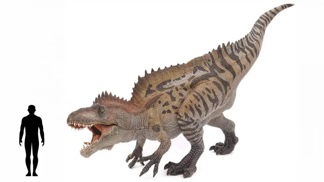 carnivore dinosaur with 2 horns