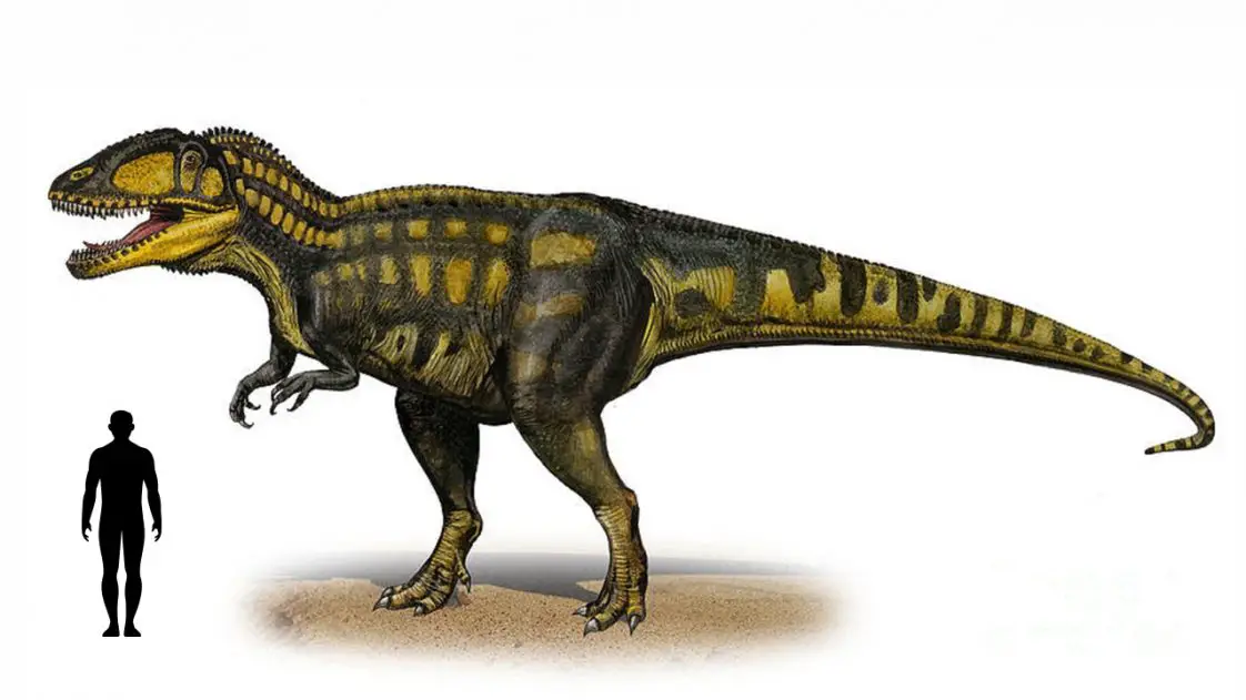 largest carnivorous dinosaur