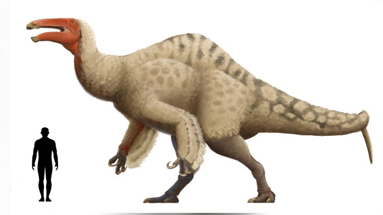 largest carnivorous dinosaur