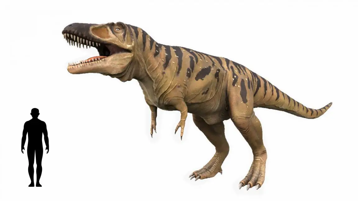 largest carnivorous dinosaur