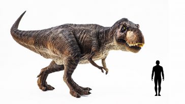 top 10 carnivorous dinosaurs