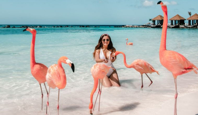 Top 10 Things to Do in Aruba