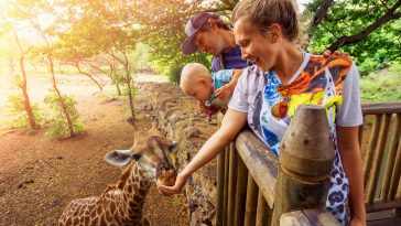 Top 10 Zoos in the US to GO Wild!