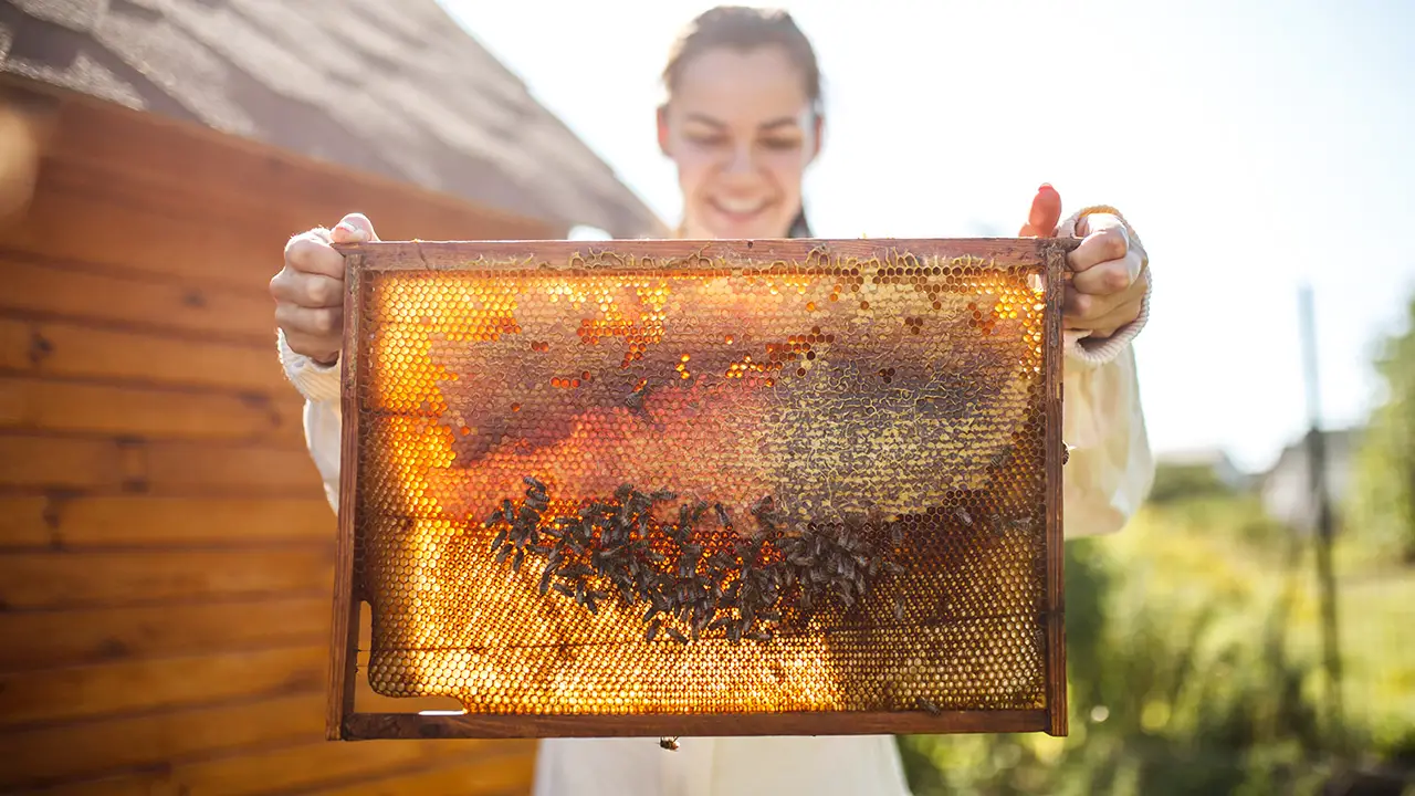 A young woman holding up a honey bee slate