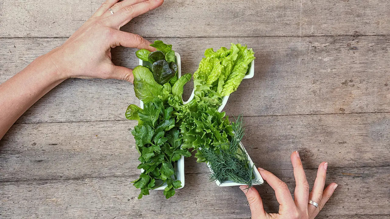 A woman s hands holding plate of leafy greens