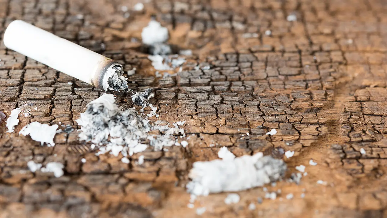 A cigarette butt on the ground