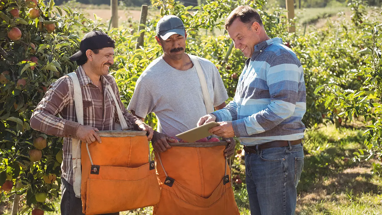 Happy farmers look at their crop yield