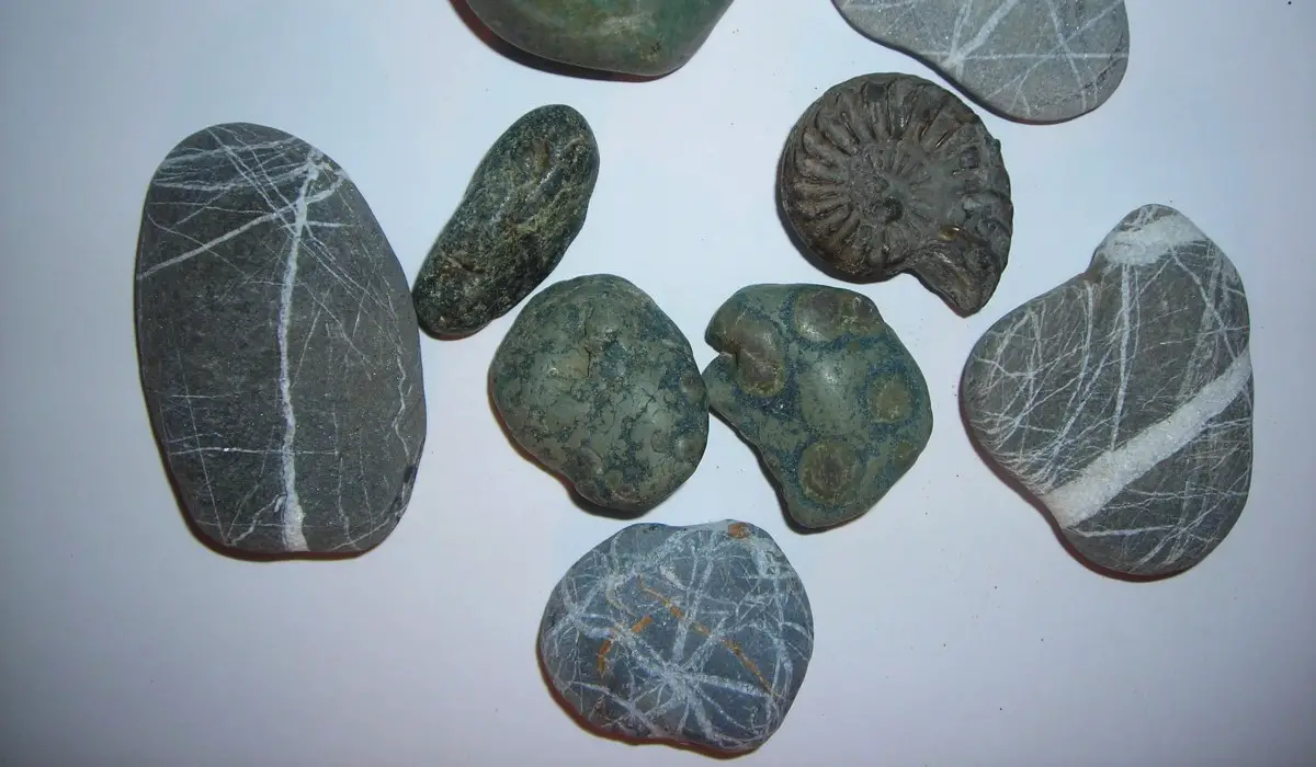 Various rocks in different shapes and sizes Various rocks in different shapes and sizes