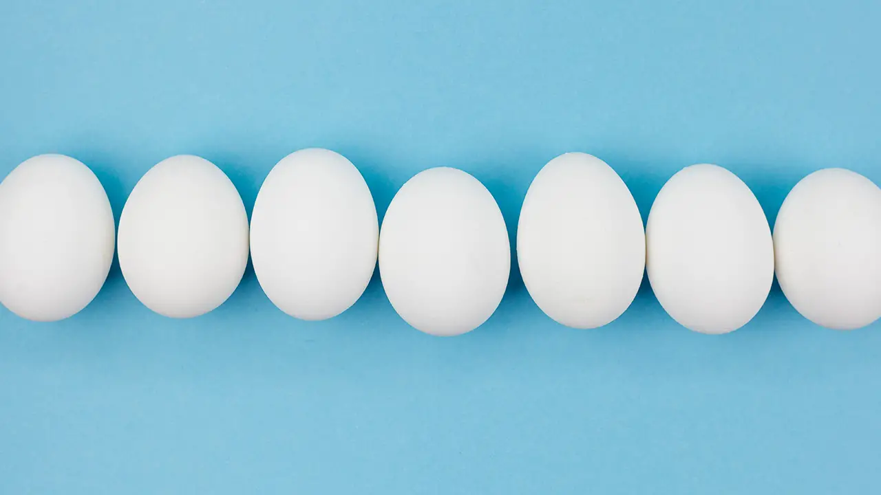 row of eggs