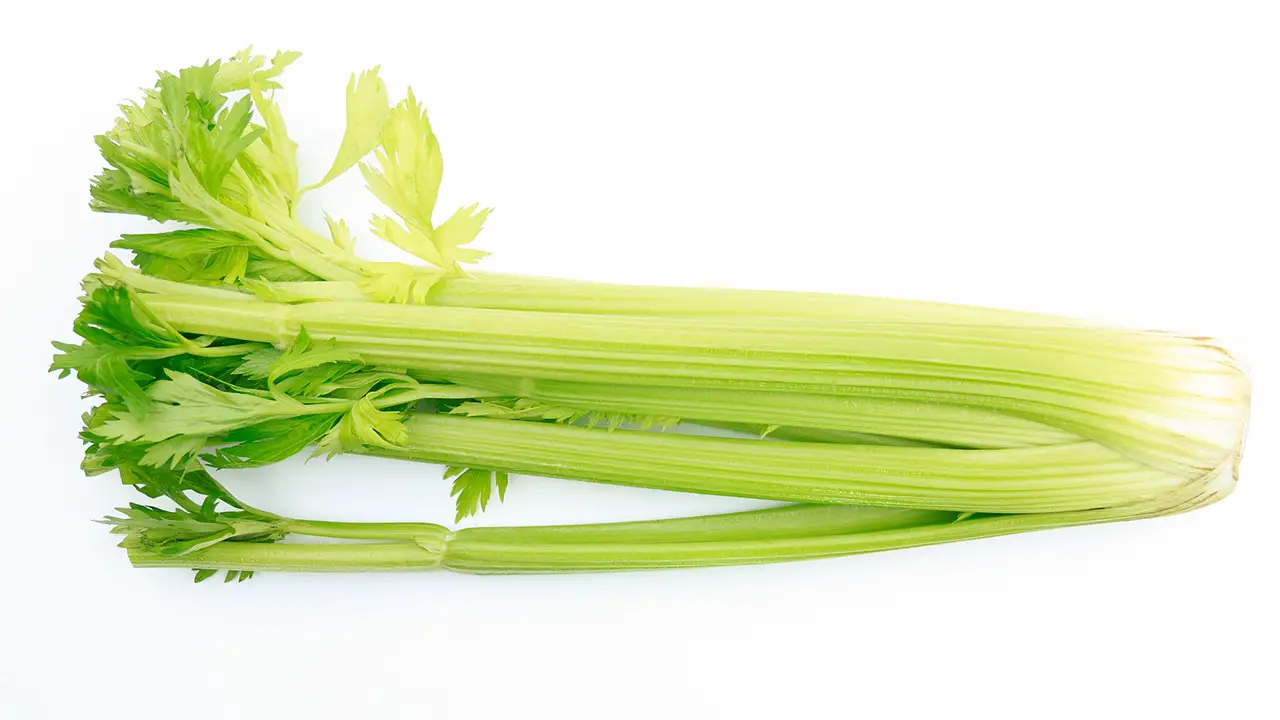 stalk of celery