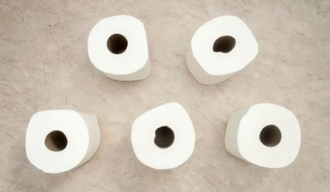10 Fascinating (and Weird) Facts About Toilet Paper • Pop Listicle