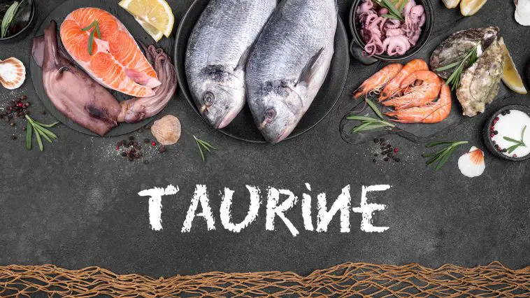 top 10 foods highest in taurine