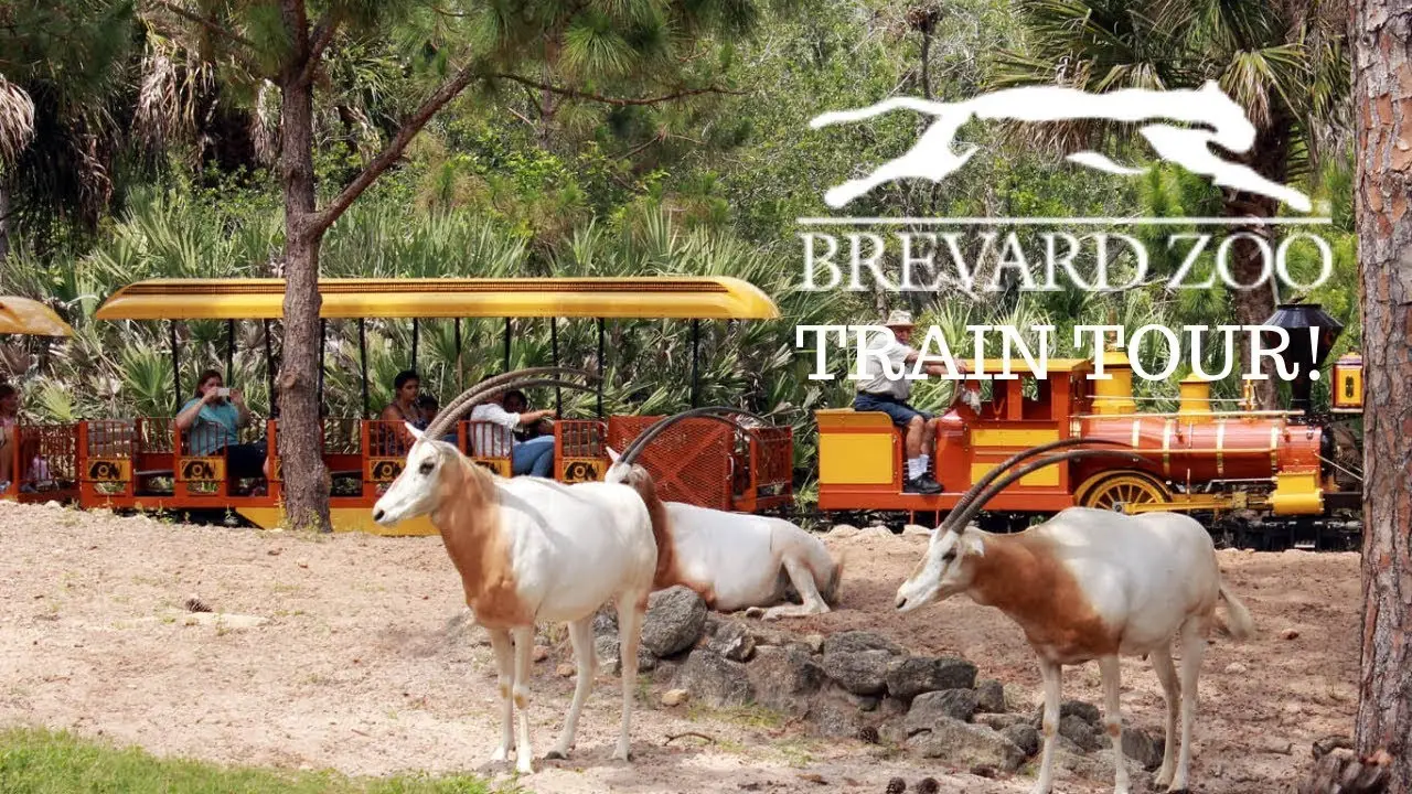 Train Tour at Brevard Zoo