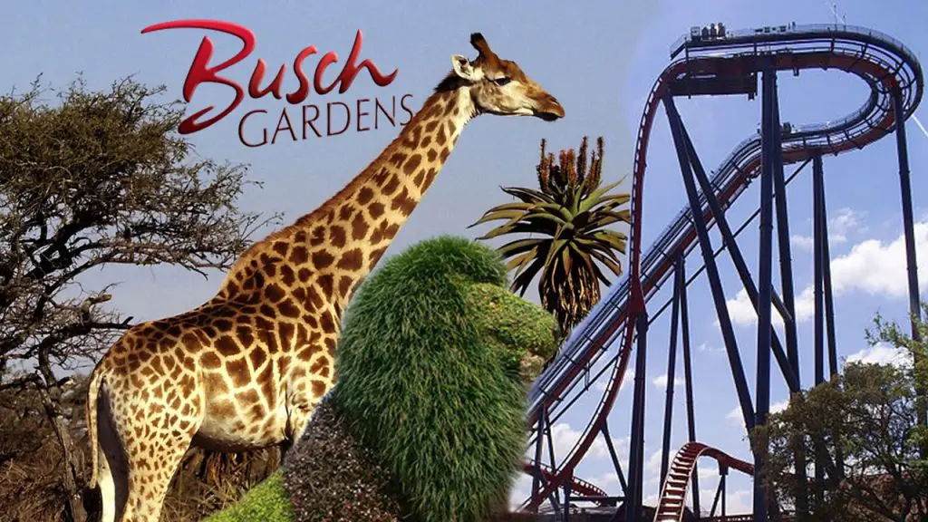 Top 10 Zoos in the U.S. to GO Wild! • Pop Listicle