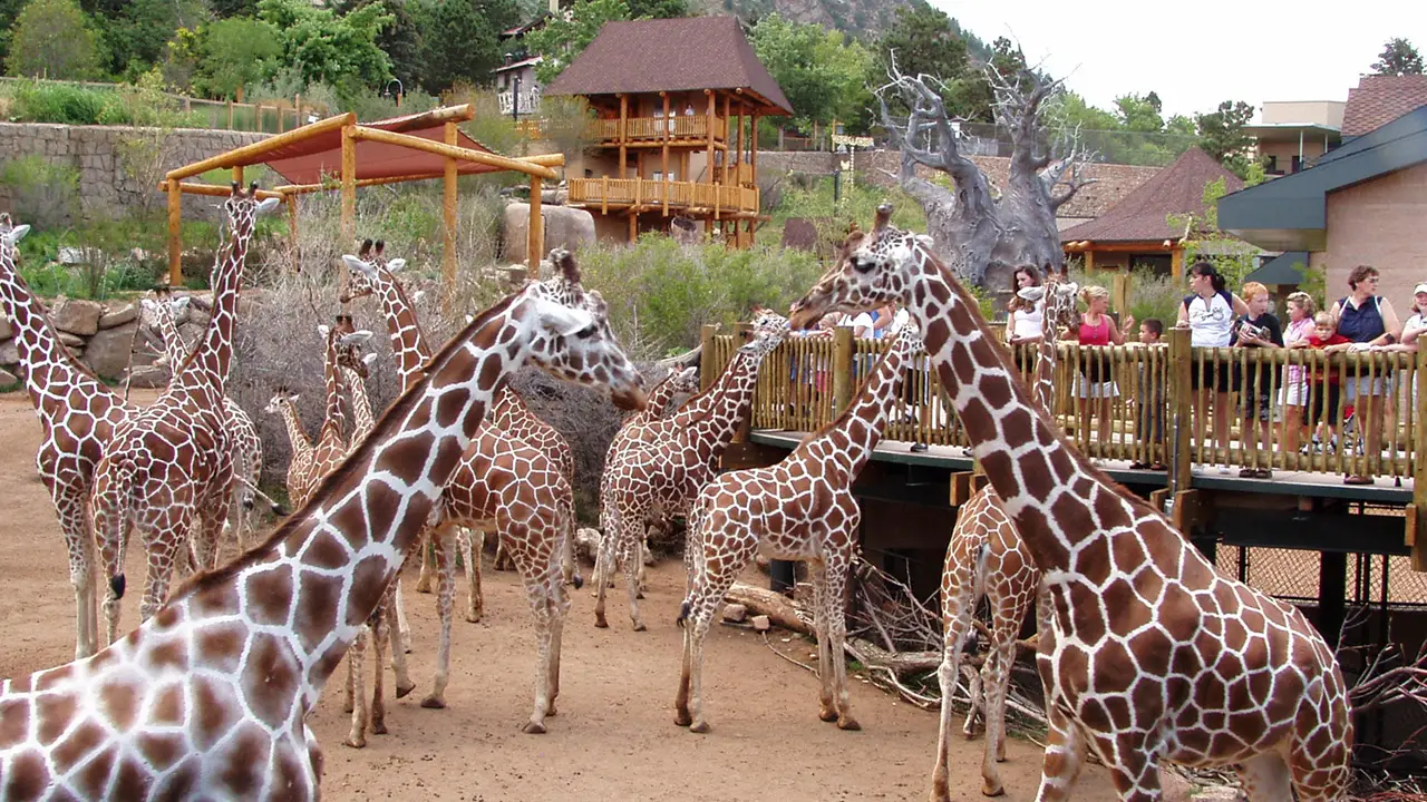 The Cheyenne Mountain Zoo