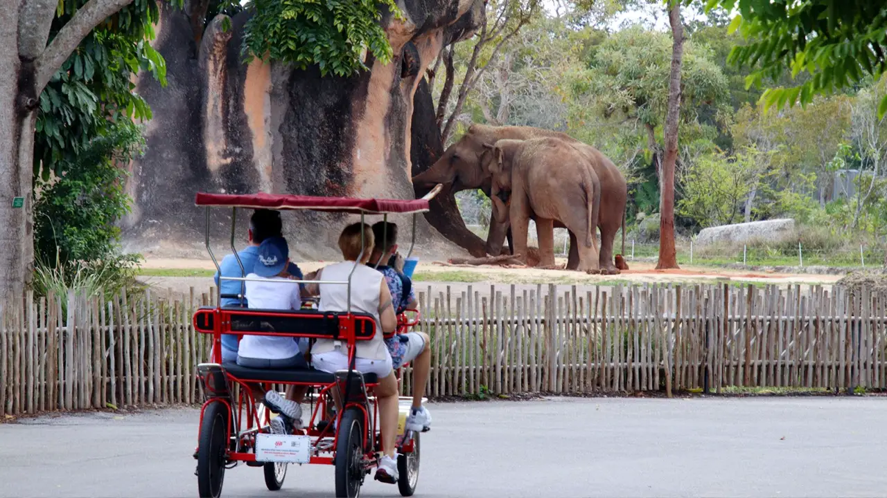 The Miami Zoo