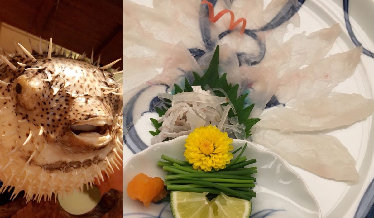 Blowfish (fugu) sashimi. A winter treat in Japan.